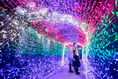 Tunnel of Lights experience opens for a fifth year