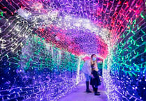 Tunnel of Lights experience opens for a fifth year