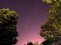 The Night Sky in August with Brian Sheen