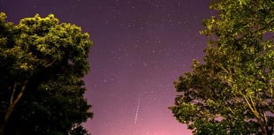The Night Sky in August with Brian Sheen