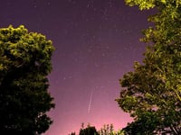 The Night Sky in August with Brian Sheen