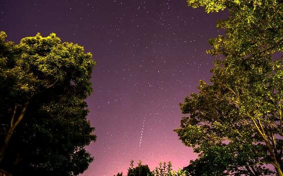 The Night Sky in August with Brian Sheen