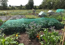 Police issue theft warning to allotment owners 