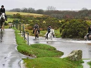 Cornwall politicians back trail hunting ban despite pro-hunt outcry