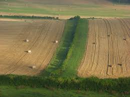 Higher rates and market uncertainty keep buyers cautious