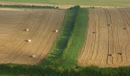 Higher rates and market uncertainty keep buyers cautious