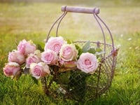 Flower festival to celebrate church’s grand re-opening