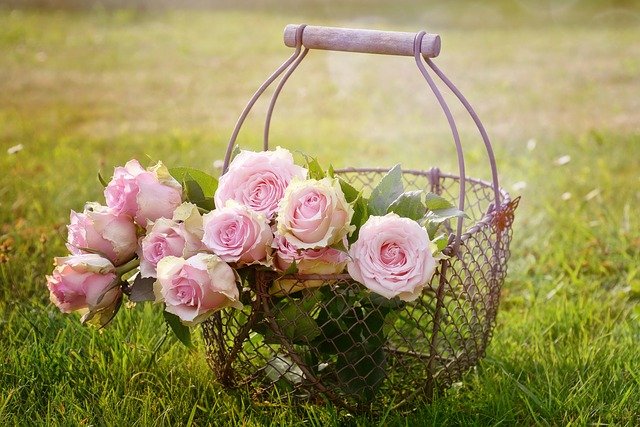 Flower Club