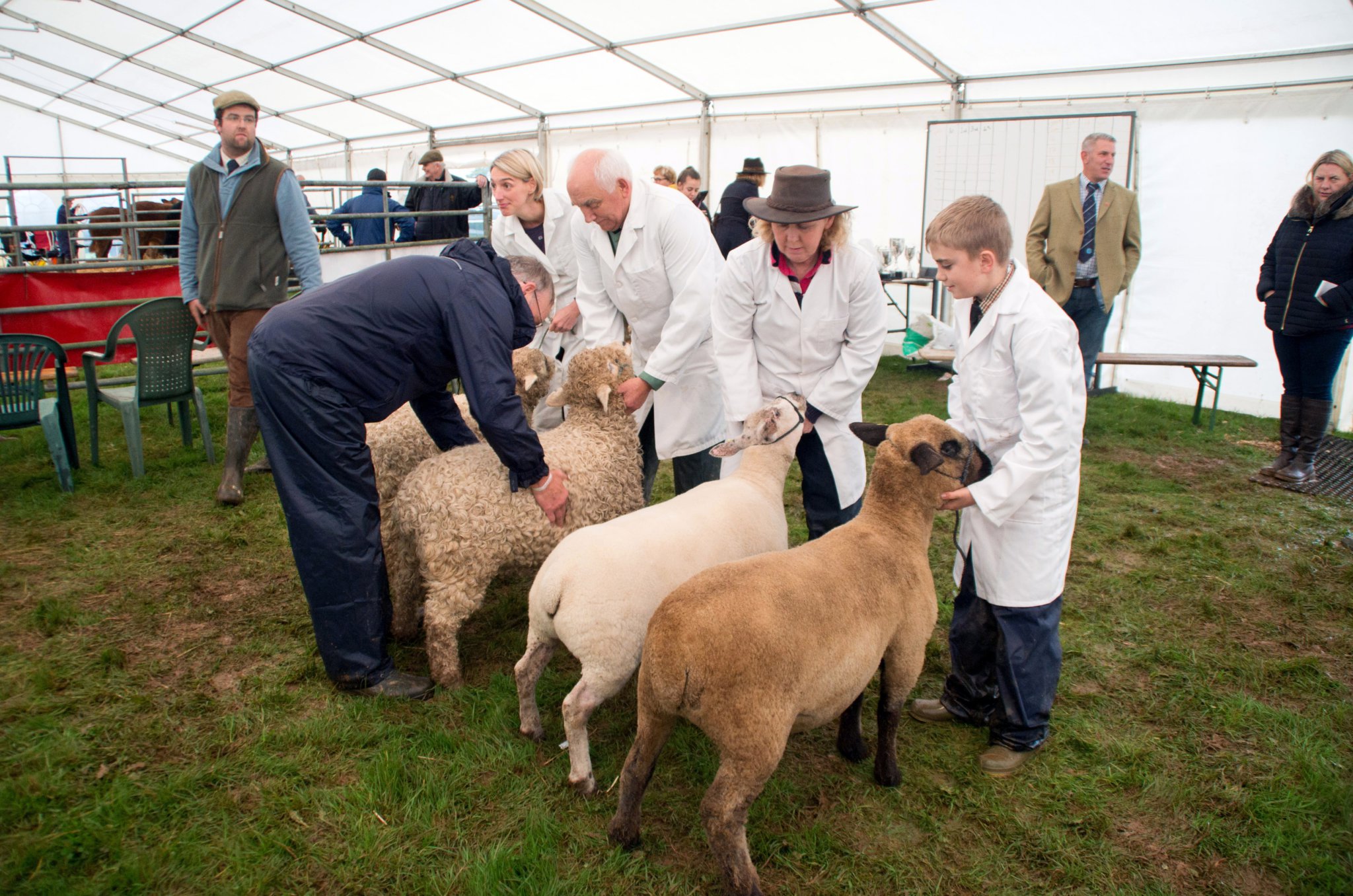 Liskeard Winter Fair is coming to town