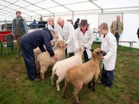 Liskeard Winter Fair is coming to town