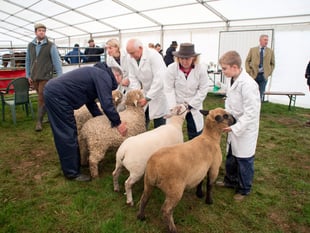 Liskeard Winter Fair is coming to town