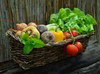 Community orchard plea to donate food waste