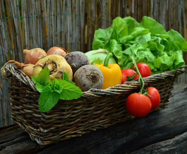 Community orchard plea to donate food waste