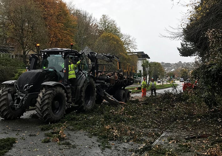 The tree blocking Tregolls Road