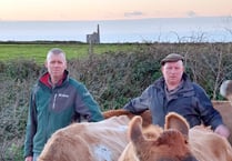 Penwith Moors farmers fear for their livelihoods