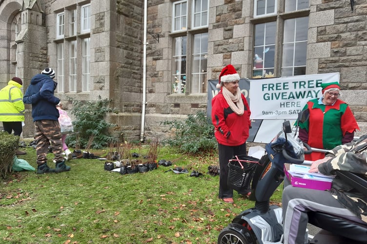 Tree giveaway