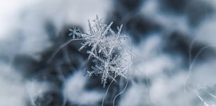 Cornwall freeze continues and schools forced to close