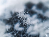 Cornwall freeze continues and schools forced to close