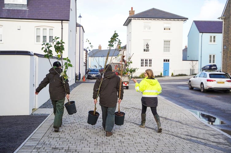 Duchy team delivering trees to Nansledan