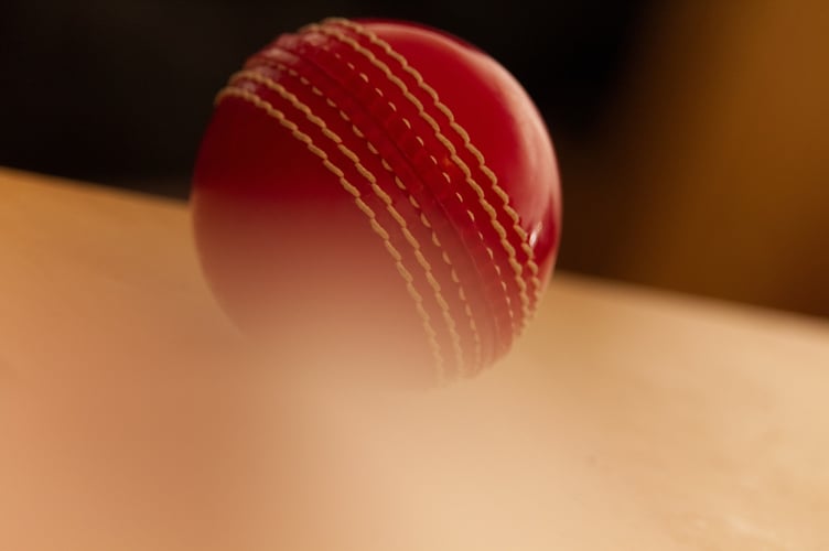 Cricket