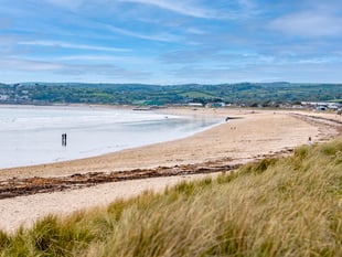 ‘Toxic’ X/Twitter banned by town council in Cornwall
