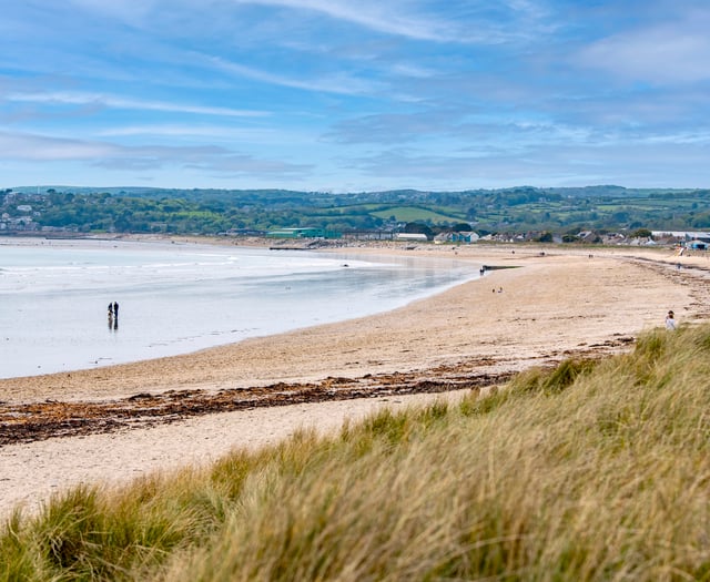 Love your beach? - Special series of clean-ups scheduled 