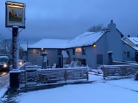 Dogs playing in the snow
