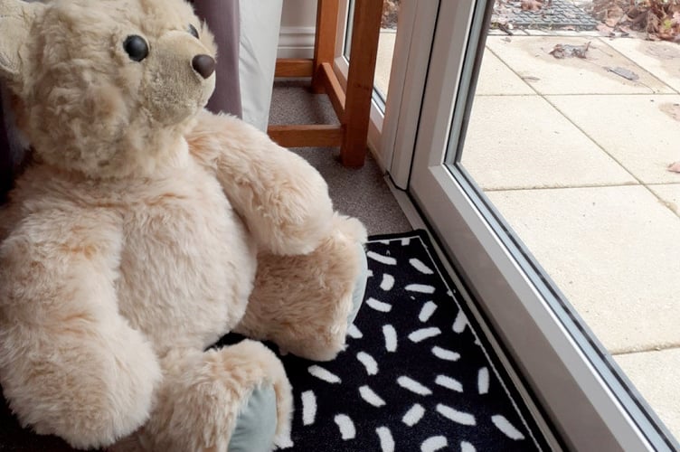 The restored teddy bear