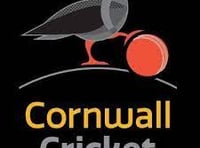 Latest fixtures in Division Two T20 Cup set for this evening