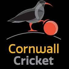 Latest fixtures in Division Two T20 Cup set for this evening