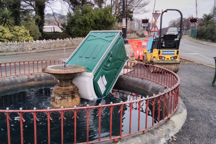St Blazey fish pond vandals