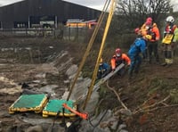 Firefighters scrambled to rescue cows trapped in slurry pit