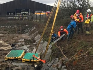 Firefighters scrambled to rescue cows trapped in slurry pit