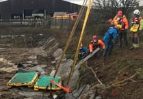 Firefighters scrambled to rescue cows trapped in slurry pit