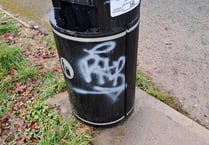 Town counting the cost after suffering spate of vandalism 