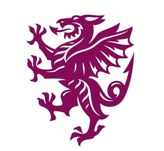 Somerset lose unbeaten record in T20 Blast