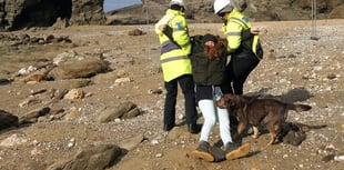 Second protest against cliffs being concreted will be held on Thursday