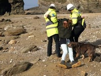 Second protest against cliffs being concreted will be held on Thursday