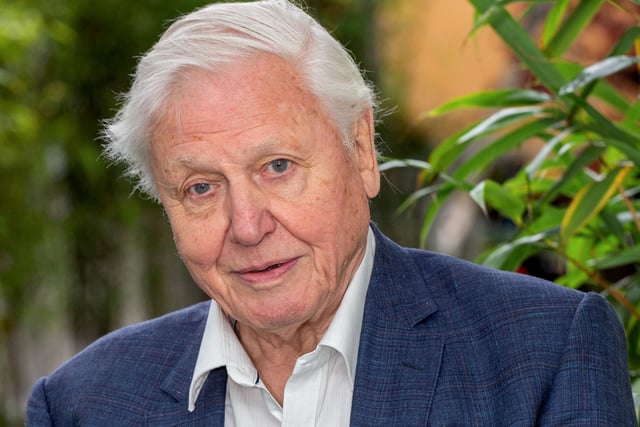 Legendary broadcaster drawn into planning row over seafront flats