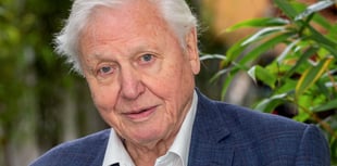 Legendary broadcaster drawn into planning row over seafront flats