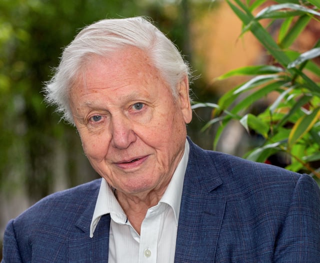 Legendary broadcaster drawn into planning row over seafront flats