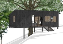 Company seeks permission to build treehouses for tourists