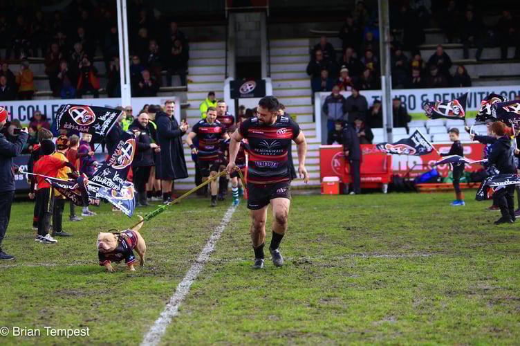 Maverick leading the Cornish Pirates out