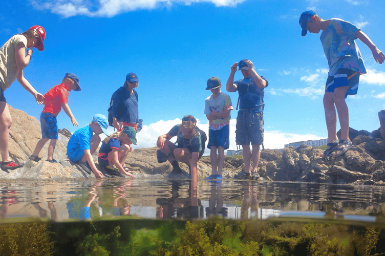 A rockpool ramble