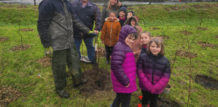 School pupils help to plant mini forest