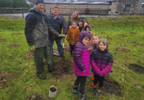 School pupils help to plant mini forest