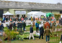 GALLERY:  2023 Cornwall Spring Flower Show was blooming marvellous