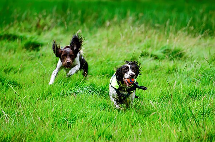 Denzel and Kilo checking for water leaks