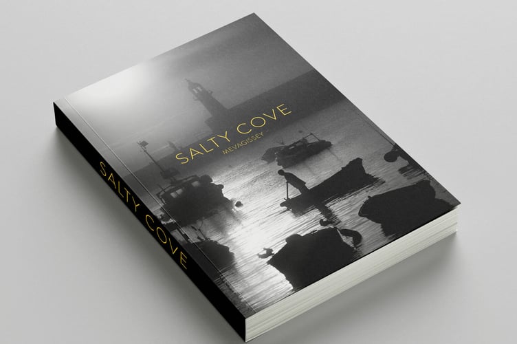 Salty Cove Book