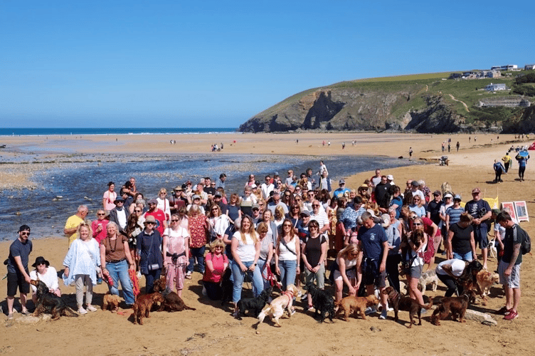 Dogs on Watergate Bay Beach